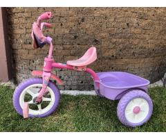 Triciclo Trixie