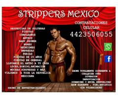 SHOW STRIPPERS PROFESIONAL